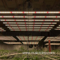 4Ft 1000W Led Grow Light Pro Dimming